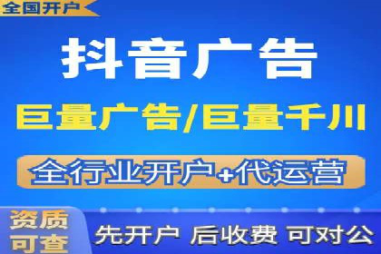 SEM广告投放中的数据监控与调整策略——以某品牌营销案例为例